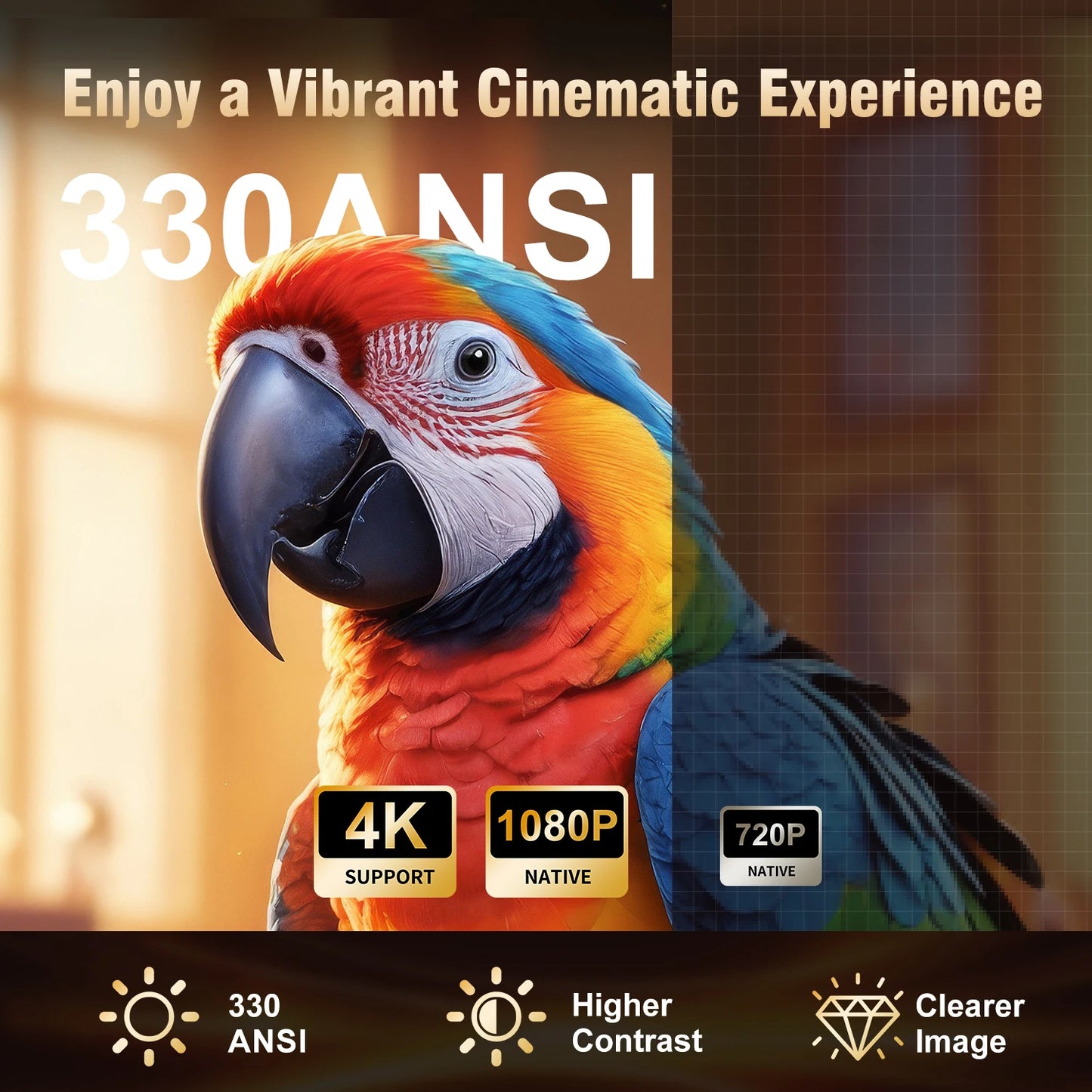 Mini Projector for Outdoor & indoor use