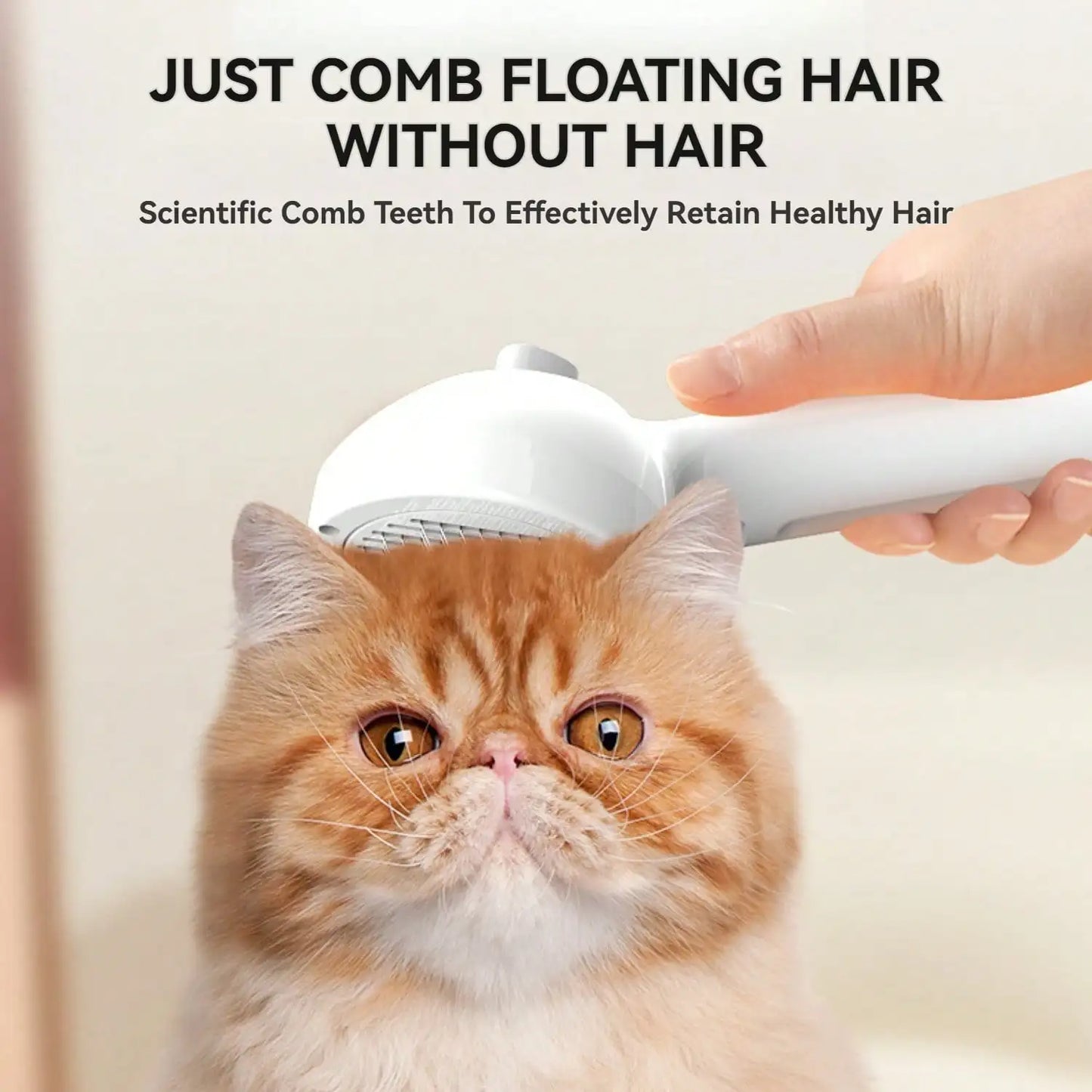 Cat Steam Brush Spray Cat Brush Water Brush for Pets