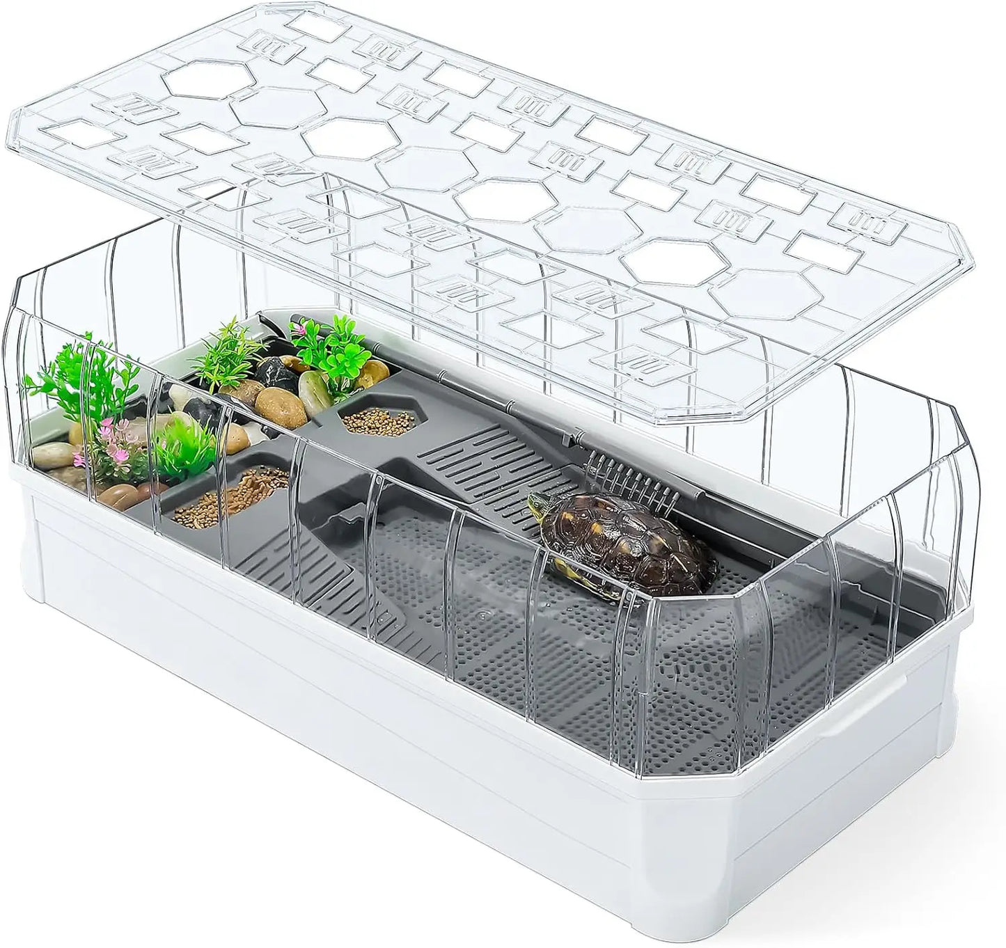Turtle Tank with Filter-Rain Shower SPA Experience, Water Changes, and Ample Space for Activities-Suitable