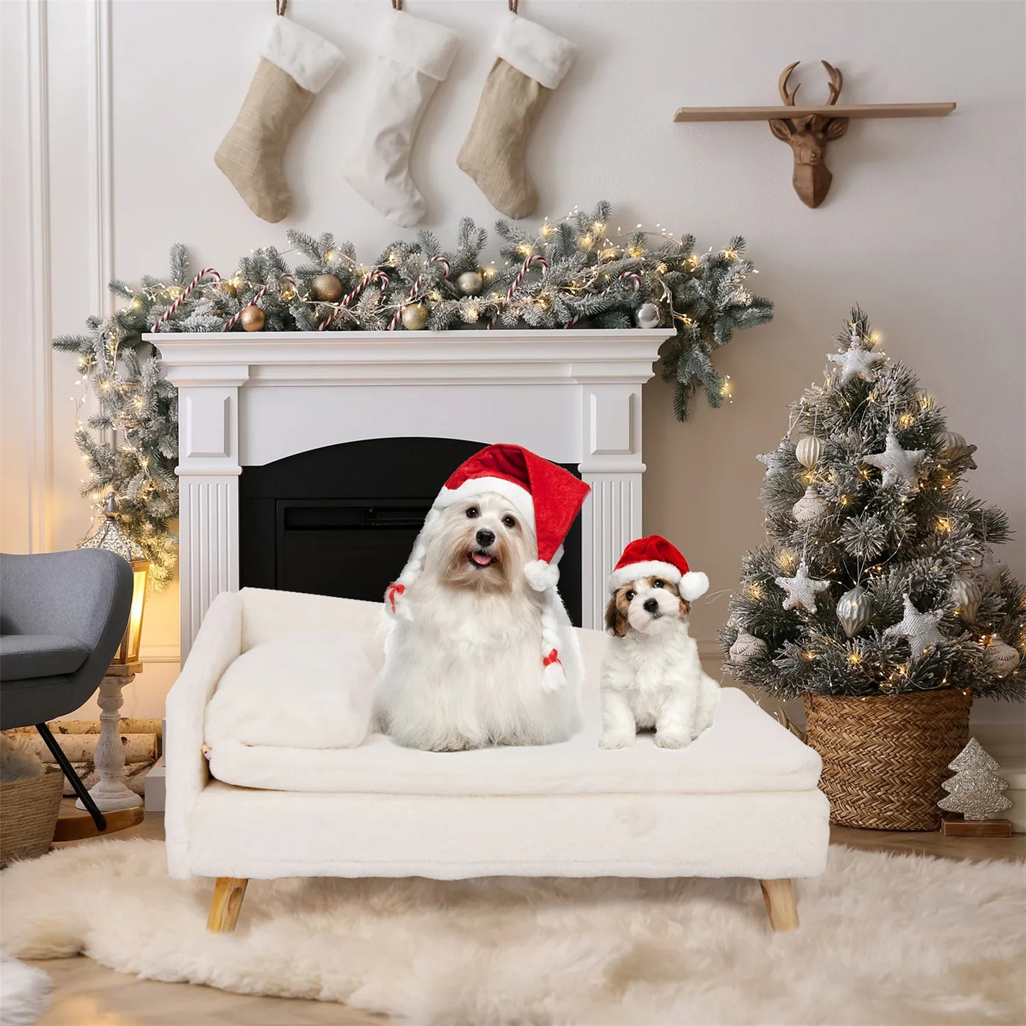 Pet Stool Bed with Cozy Pad Waterproof